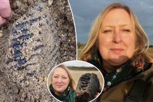 mammoth tooth