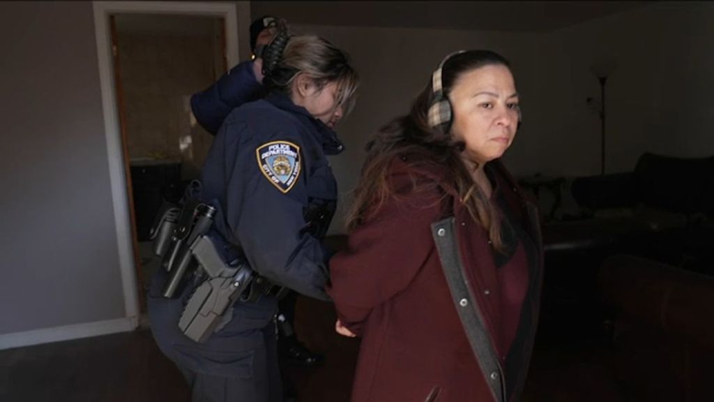 Adele Andaloro, 47, was recently nabbed after she changed the locks on the $1 million home in Flushing, Queens, that she says she inherited from her parents when they died.