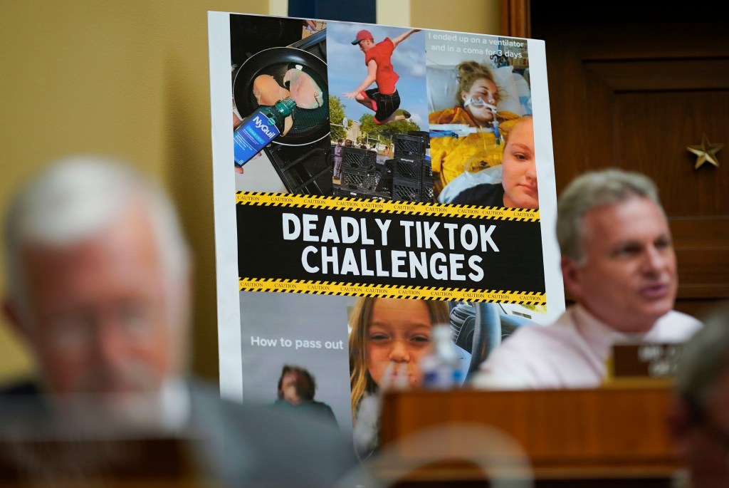 Members of Congress said they received a bevy of calls from the youth asking to not remove TikTok.