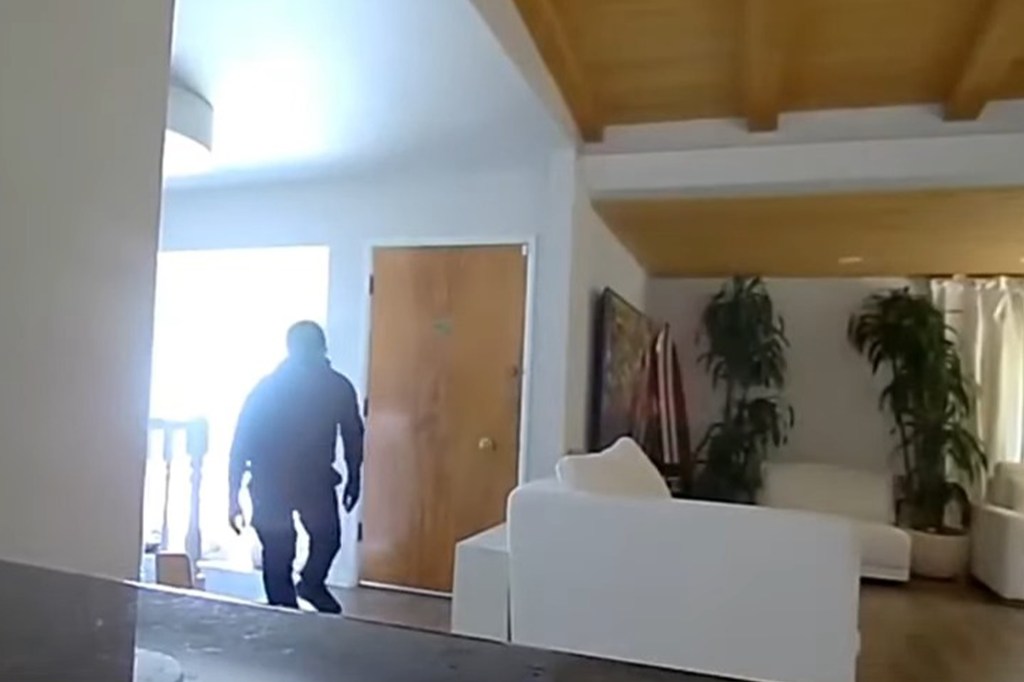 A thief is pictured in security footage inside a home.