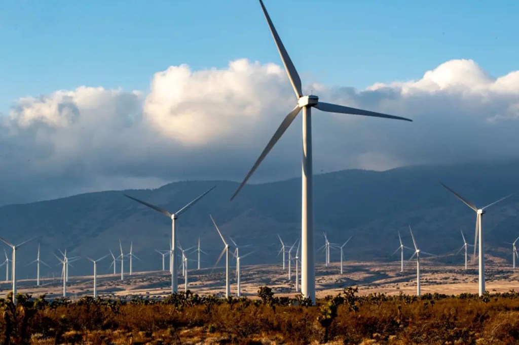 Wind turbines in a farm with Albany Wind Farm visible in the background.