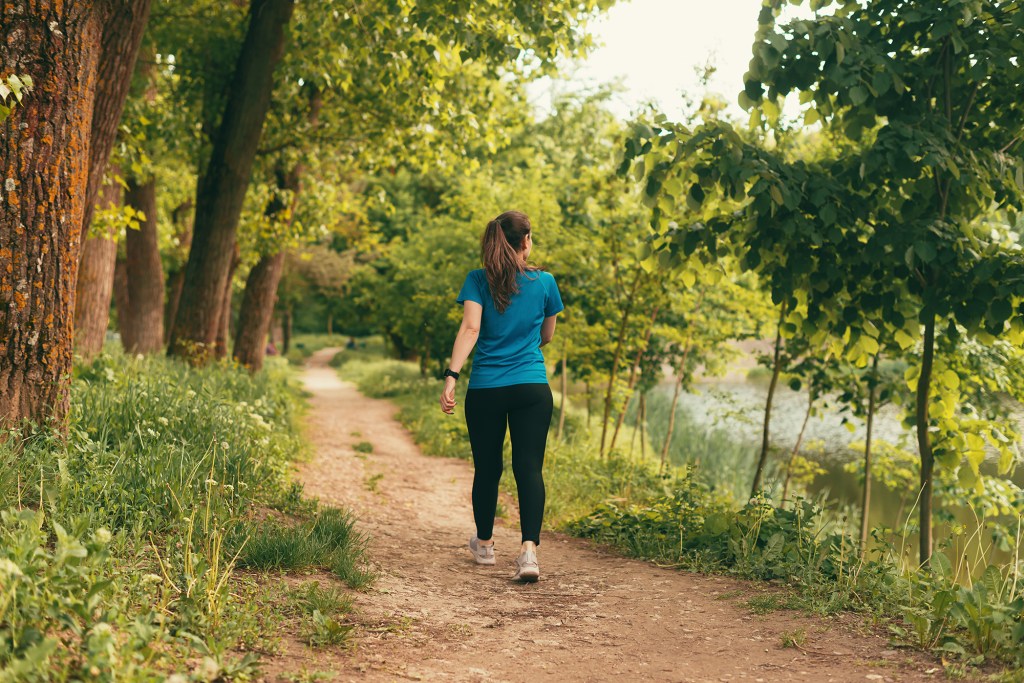 41% found comfort by taking a walk outside. 