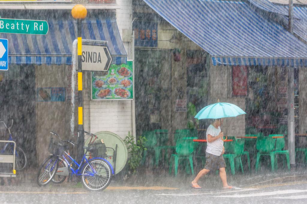 It rains an average of 171 days of the year in Singapore.