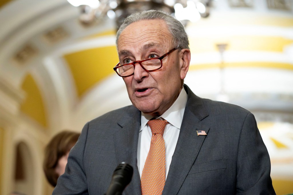 Senate Majority Leader Chuck Schumer 