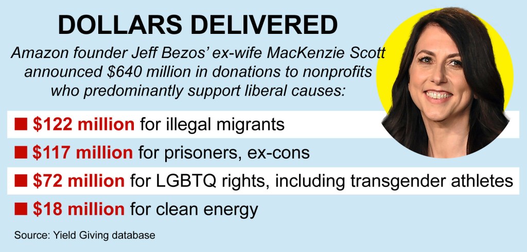 chart of how bezos ex wife donated money