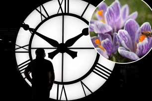 A large clock being admired by a man in a workshop.