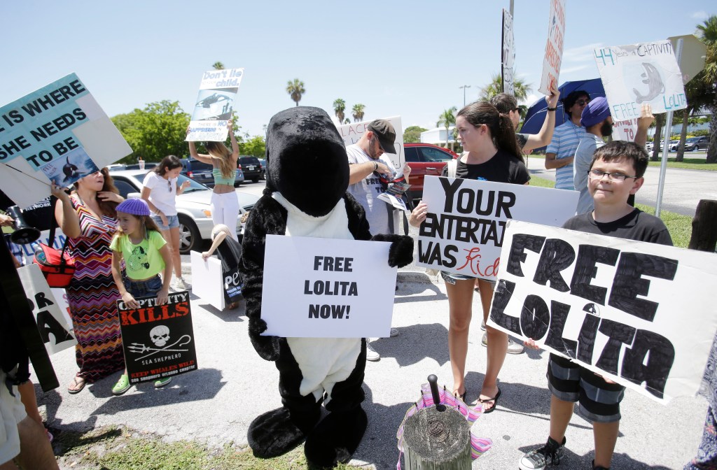 Animal right's activist protest for the release of Lolita from the Miami Seaquarium on Aug. 9, 2015. 