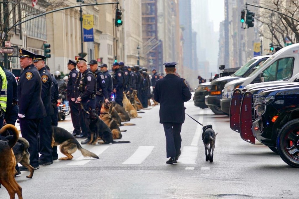 the funeral procession for Officer Wilbert Mora, who was killed in 2022, where there were 173 K9s from around the country.