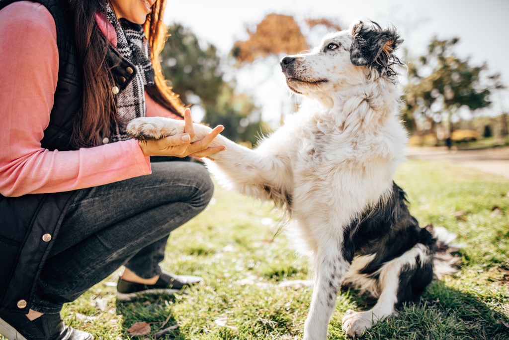 Scientists think the style of communication can strengthen bond and maintain attention. 