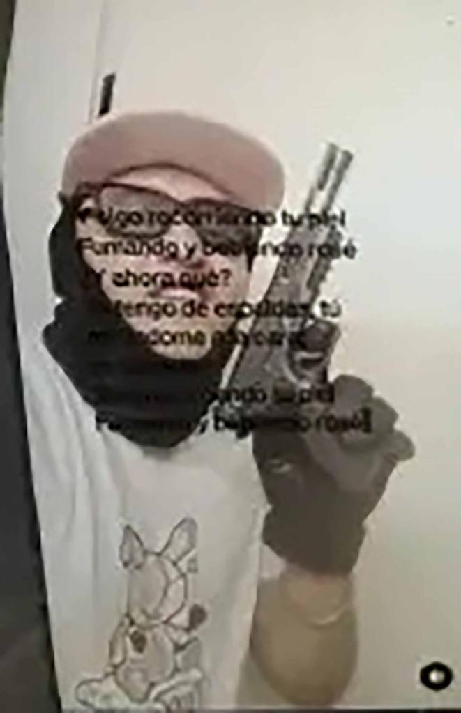 Social media posts show Ibarra posing with handguns, in violation of US law regarding undocumented migrants.