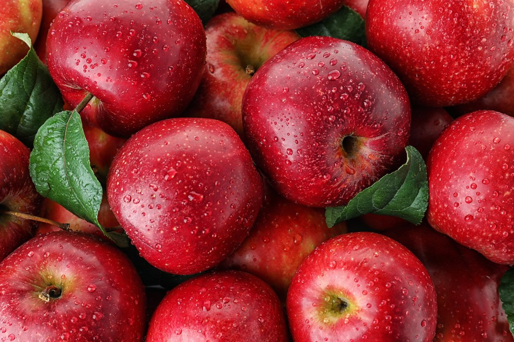 A pile of ripe, juicy red apples covered with water drops