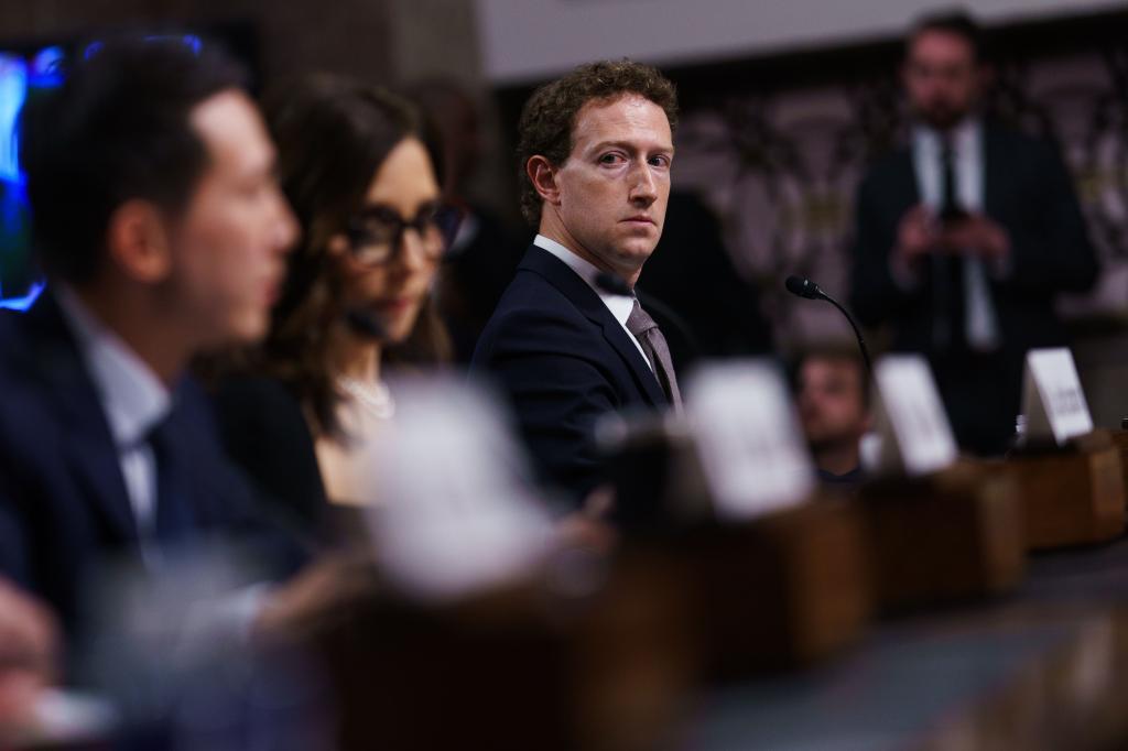 Mark Zuckerberg was the star witness at a high-profile Senate hearing in January.