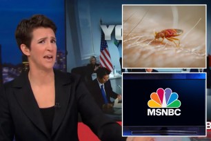 Rachel Maddow, bedbugs, MSNBC logo
