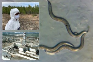 Left: Scientist at Chernobyl and the grounds. Right: The worms. 