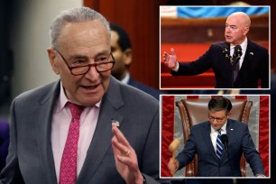 Chuck Schumer, Alejandro Mayorkas