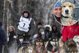 iditarod moose attack dallas seavey