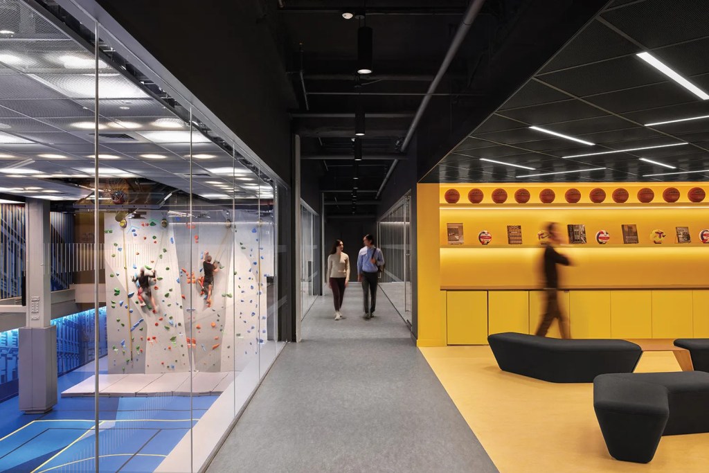 Wide shot of the Playground in the Seagram Building. A rockclimbing wall is seen. 