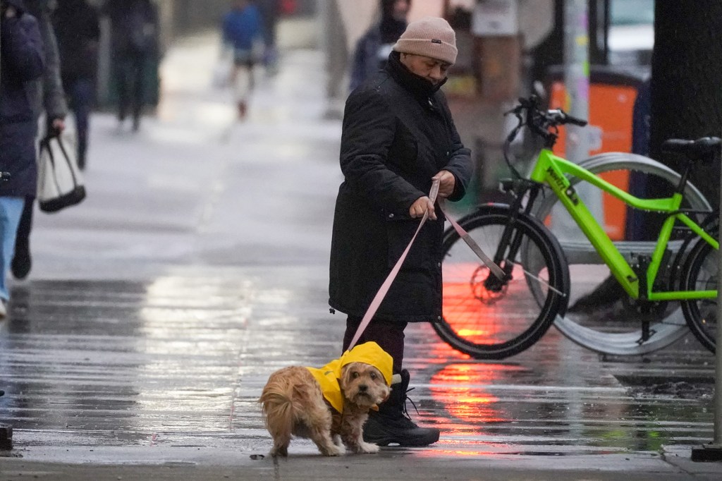 A woman walking her dog on the Upper West Side of Manhattan during a heavy rain