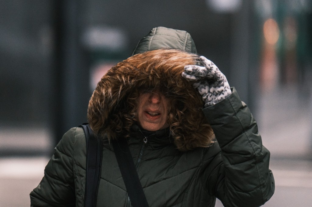 A woman holding onto her hood during a gust of wind in Manhattan.