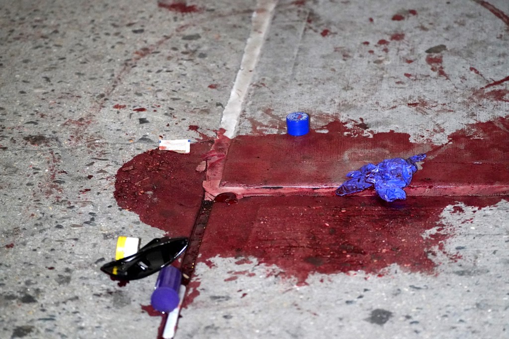 A photo of blood stains at the Bronx crime scene.