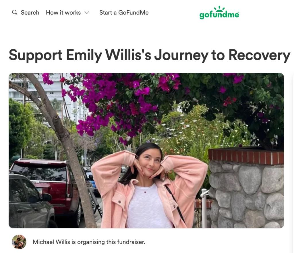 The former adult film actress' brother had created a GoFundMe page to help the family raise money for her costly medical bills.