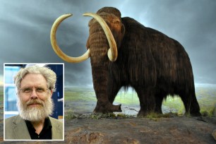 Wooly mammoth