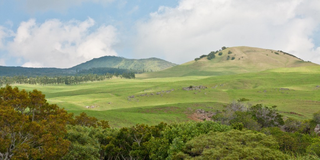 Rolling green hills with trees and clouds in Waimea, Hawaii's cowboy country.