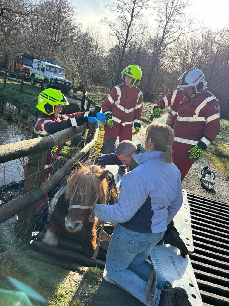 "An amazing rescue! Thank you so much for saving Teifi. You were all fantastic," said the animal's owner. 
