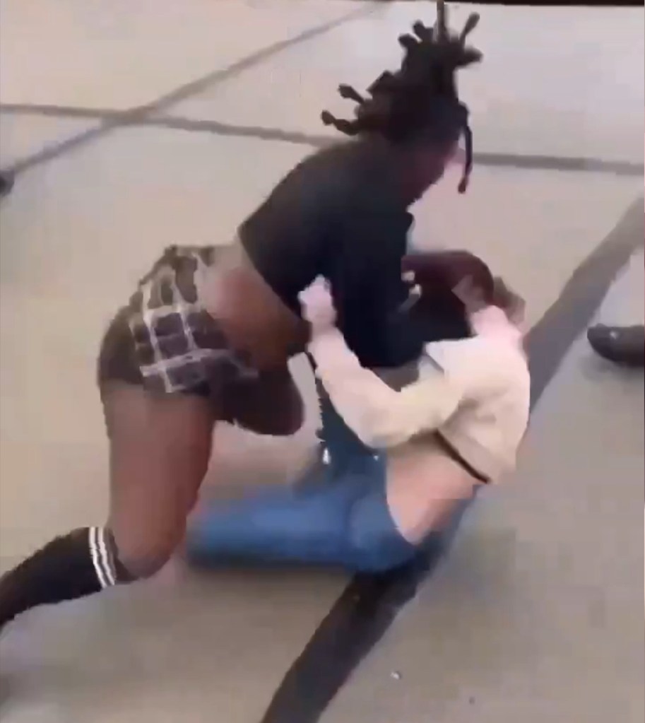 The brutal fight was caught on video.