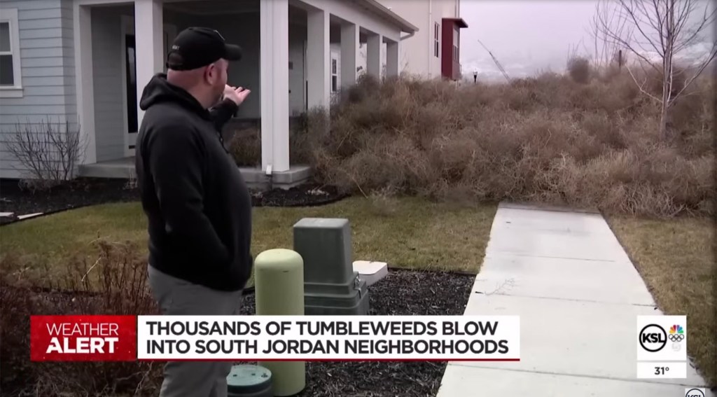 A man gestures at his house nearly buried in tumbleweeds.