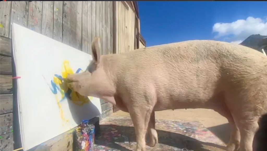 Pigcasso with painting.