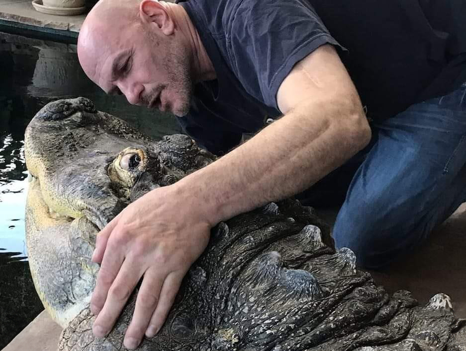 Tony Cavallaro with Albert the alligator, who he has lived with since adopting him as a two-month old baby 34 years ago