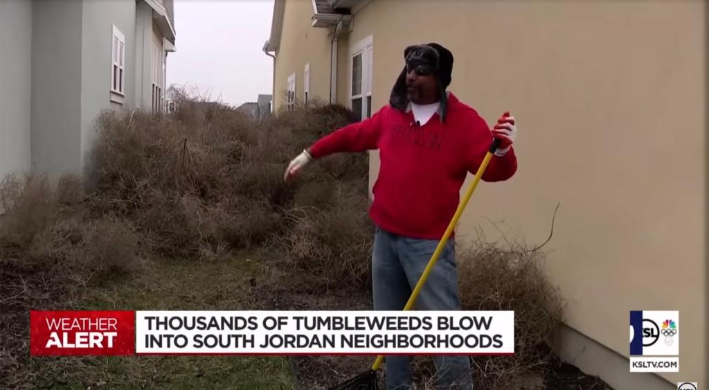Man holding broom amidst thousands of tumbleweeds in front of South Jordan homes, as seen in the "tumbleweeds-5" image.