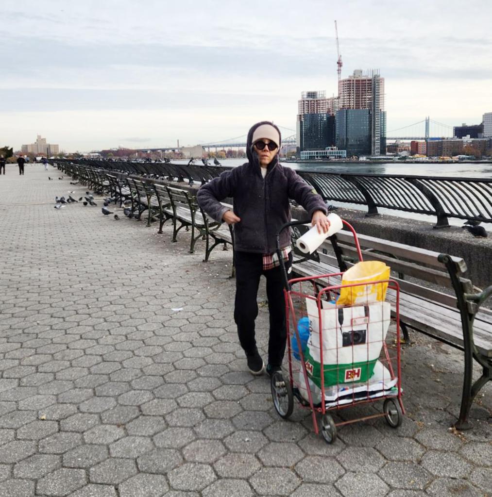 A photo of a woman with a cart in the park who is believed to be feeding the pigeons.