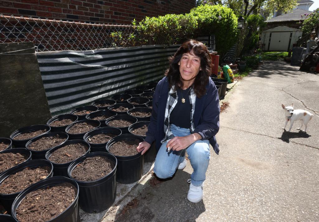 Silk alongside the "Screw You, Michael Bloomberg Gardens," 100 five-gallon buckets of soil where she grows tobacco