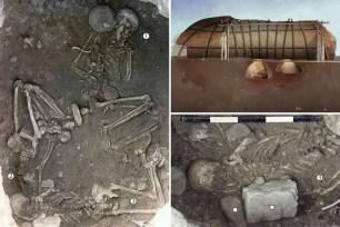 Collage of skeletal remains and archaeological tools related to a Neolithic ritual sacrifice from 5500 years ago at Saint-Paul-Trois-Châteaux
