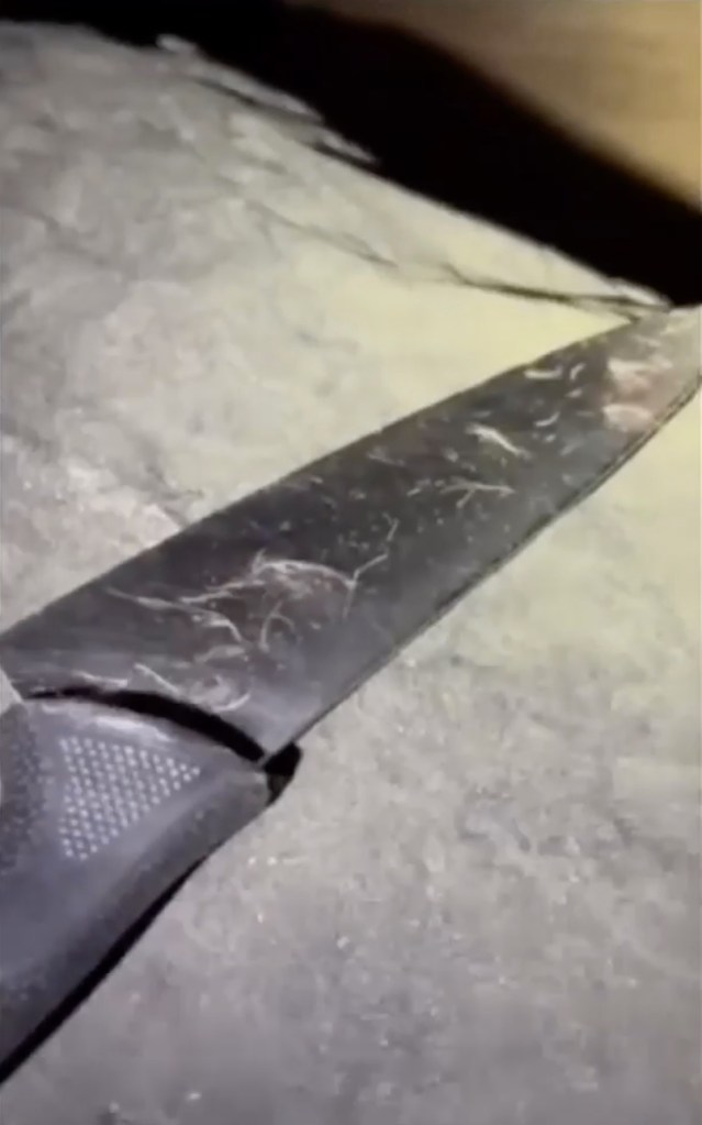 Ness used this butcher knife to repeatedly stab the raccoon