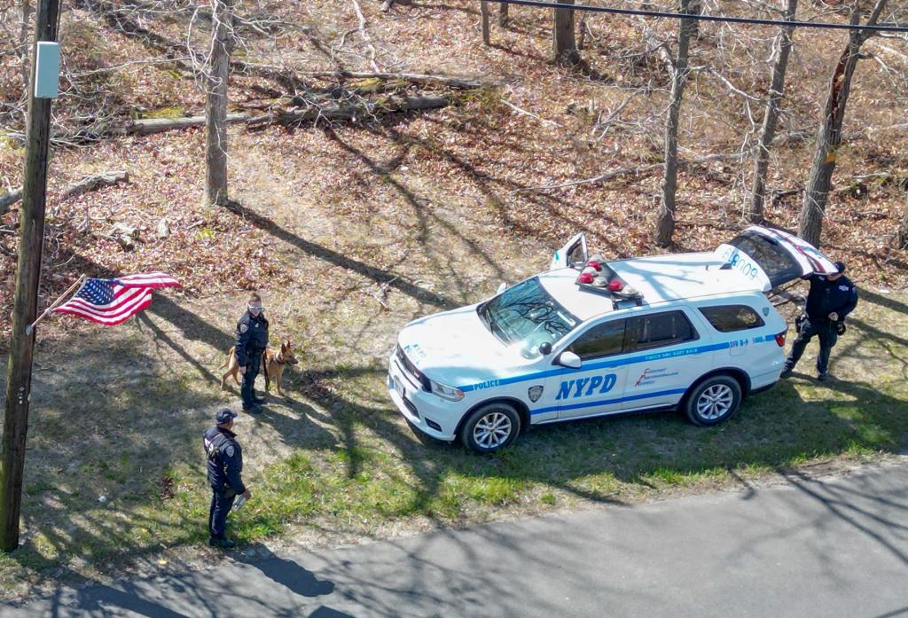 Search for bodies on Long Island. 