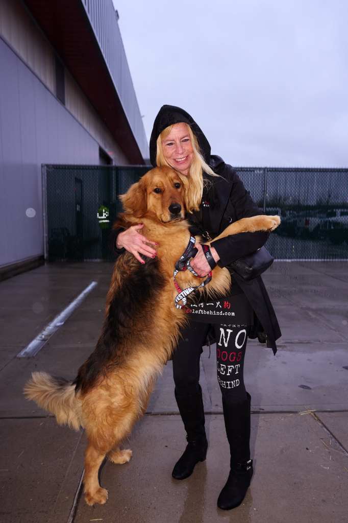 Maura Platz, a volunteer at No Dogs Left Behind, with Rogue, after nearly 50 dogs and cats that were saved from the dog and cat meat trade arrived at JFK International Airport on Tuesday, April 2, 2024 in Queens, N.Y.