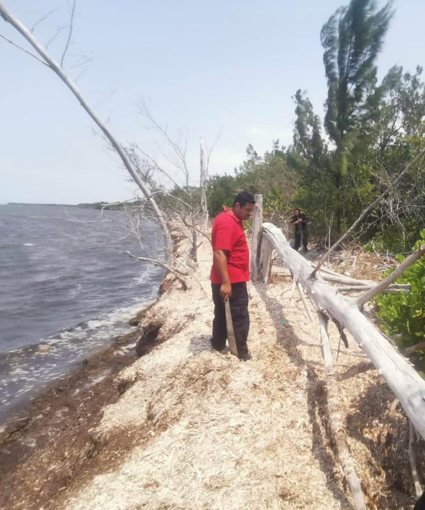 "The search focused on the vicinity of Isla de la Pasión and all the beaches and businesses in the northern hotel zone were visited, without success."