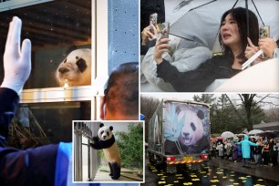 South Koreans bid emotional farewell to beloved panda leaving for China