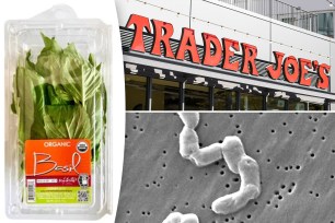 Trader Joe's basil and salmonella bacteria