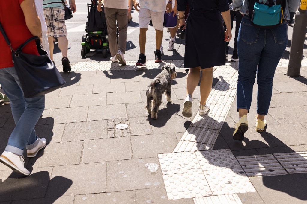 A woman walking a dog in a small crowd at a city crosswalk.