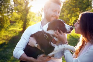 Young couple walking their dog in the park