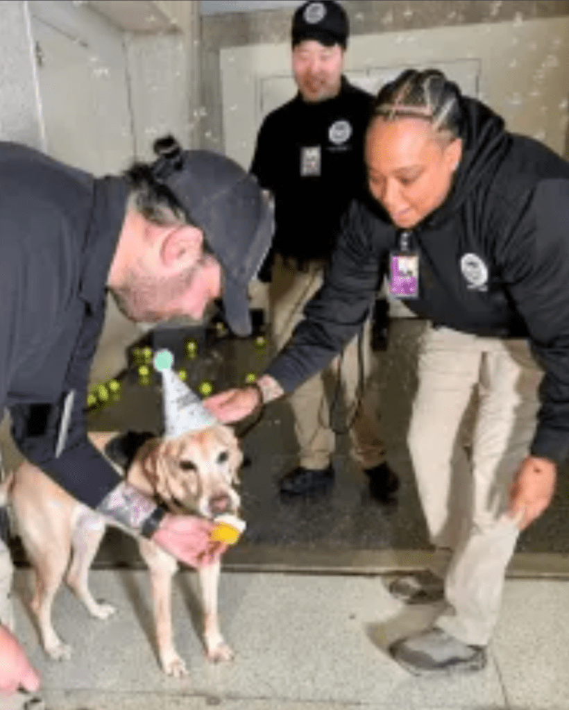 Messi was joined by several of the canine handlers and invited guests to celebrate his retirement at a surprise party.