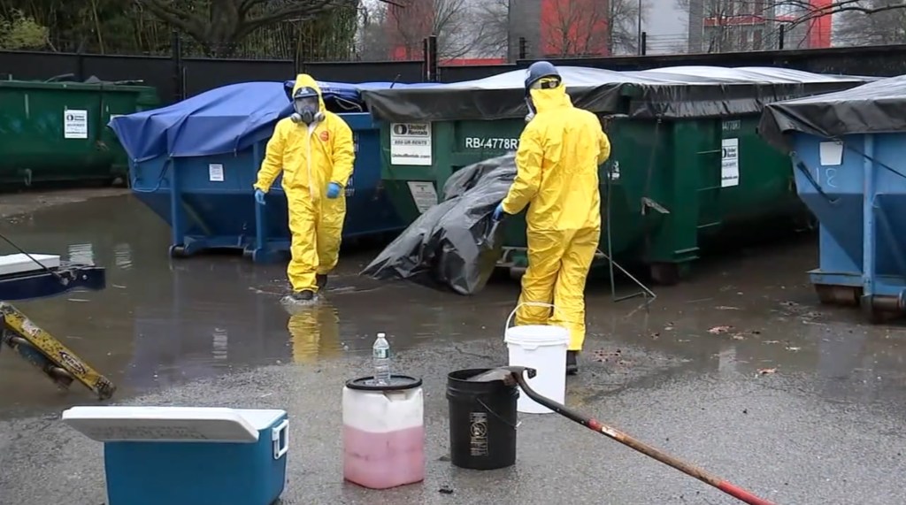 Drums of toxic chemicals dug up on Long Island