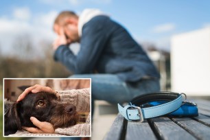 grieving pet owner stock image