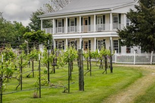 lone hen winery lists