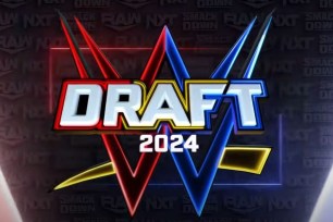 The WWE Draft was just completed 