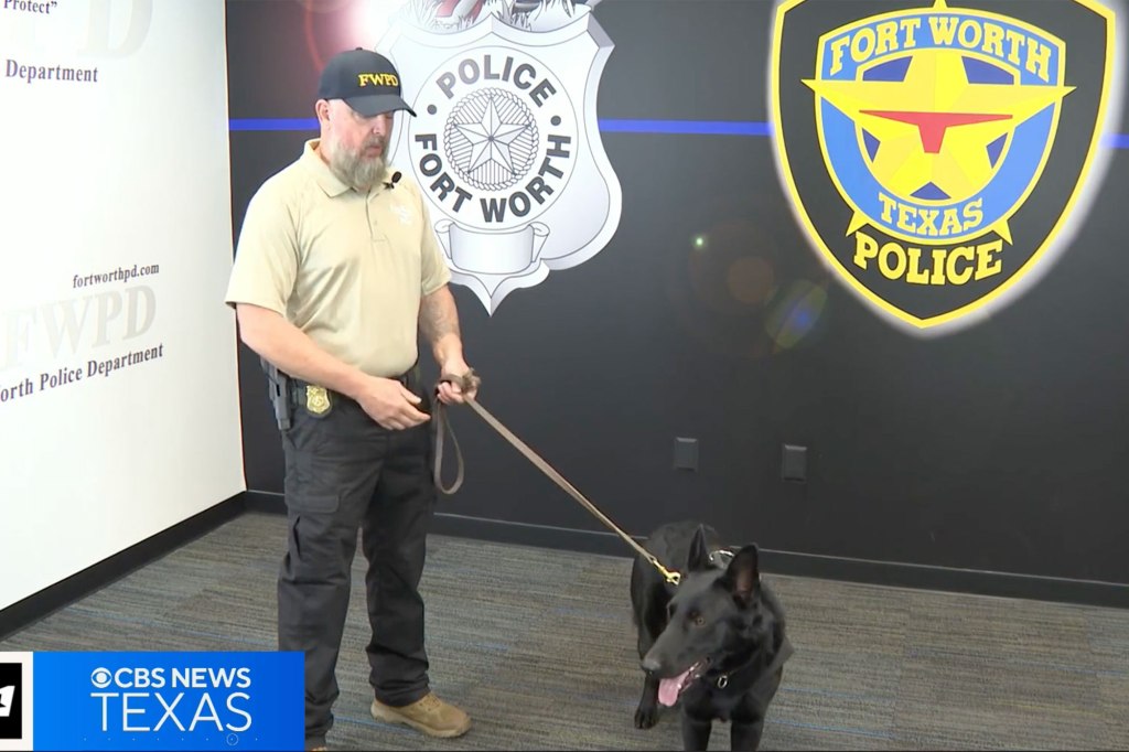 "If you talk to me in five years, I guarantee you we're going to have kilos of records to reflect his service to the city," Sgt. Charles Hubbard of the Fort Worth Police Department said.